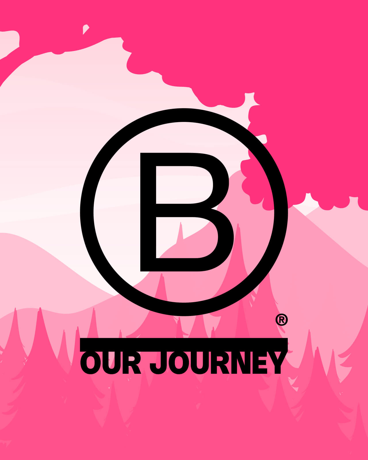 Read our article: Our B Corp Journey: What Changed When We Started Asking Better Questions